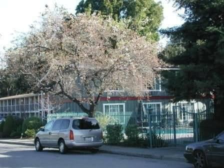 Oak Motel Palo Alto Exterior foto